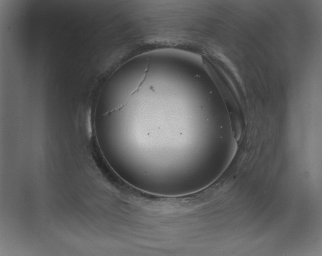 X0000074260020200608251238