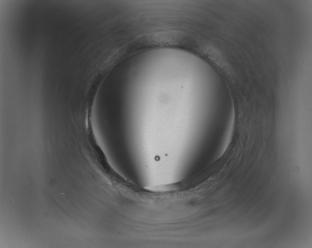 X0000074260021200608251238