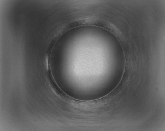 X0000074260022200608251238