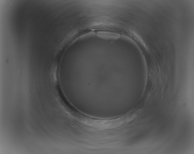 X0000074260023200608251238