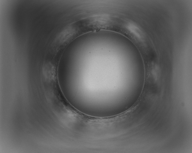 X0000074260025200608251238