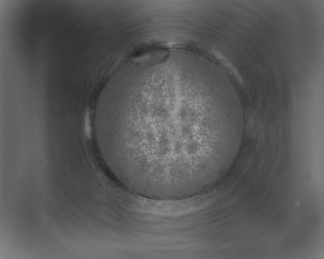 X0000074260026200608251238