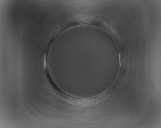 X0000074260027200608251238