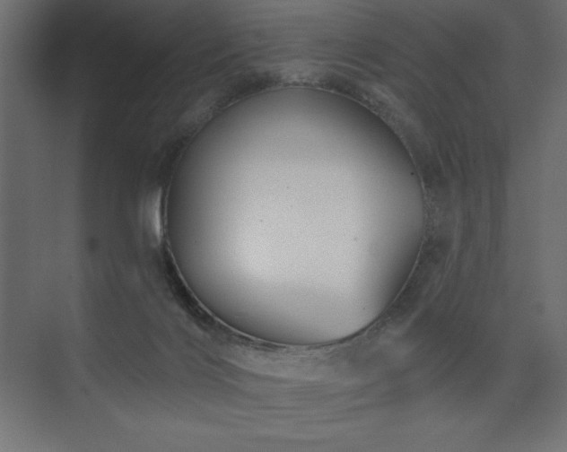 X0000074260028200608251238