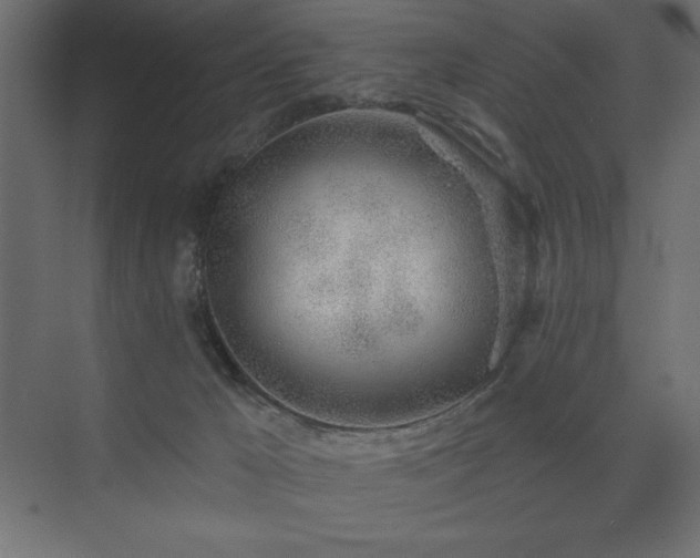 X0000074260029200608251238