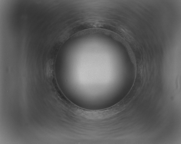 X0000074260030200608251238