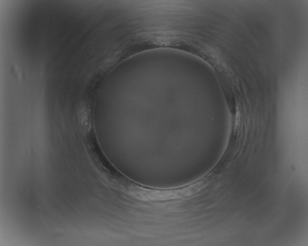 X0000074260031200608251238