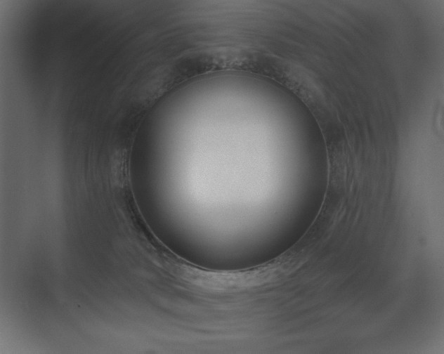 X0000074260034200608251238