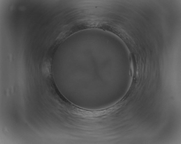 X0000074260035200608251238