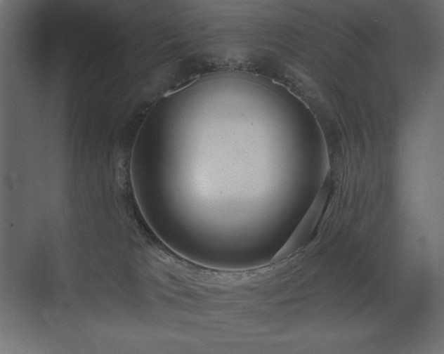 X0000074260037200608251238