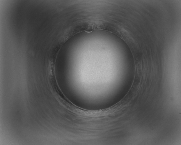 X0000074260038200608251238