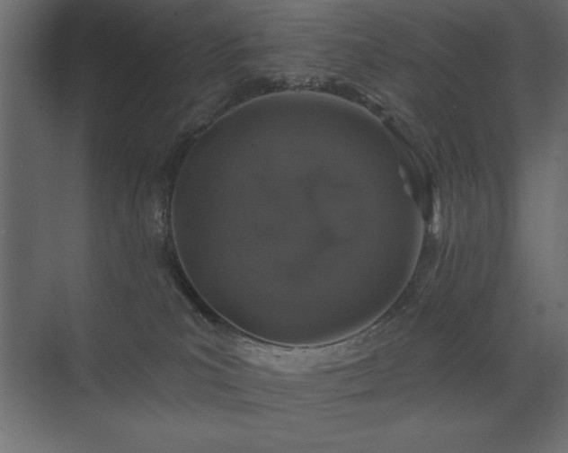 X0000074260039200608251238