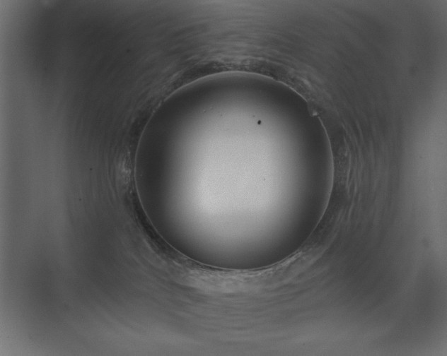 X0000074260040200608251237