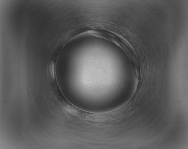 X0000074260041200608251237