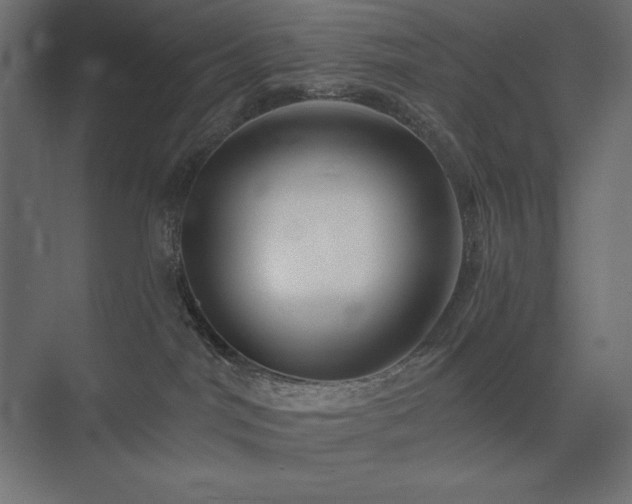 X0000074260044200608251237