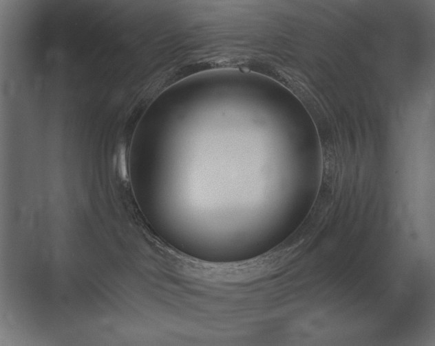 X0000074260046200608251237