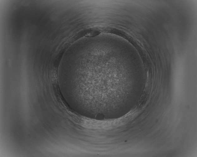 X0000074260048200608251237