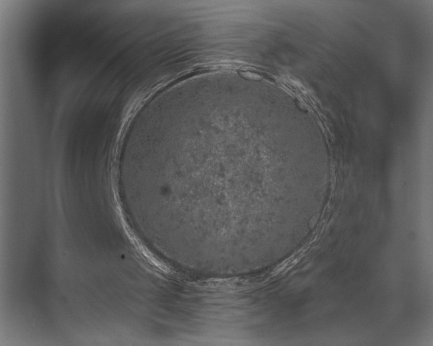 X0000074260049200608251237