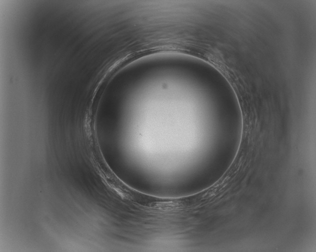 X0000074260050200608251237