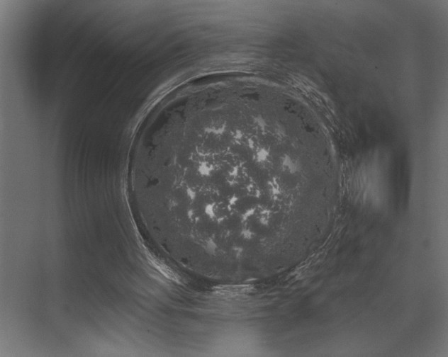 X0000074260051200608251237