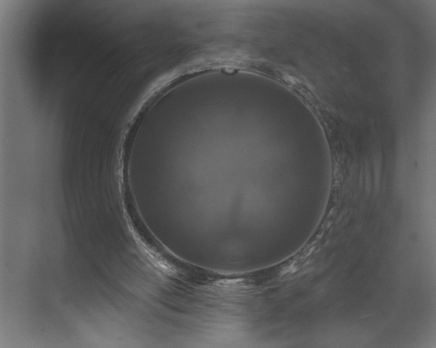 X0000074260054200608251237