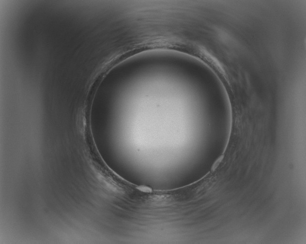 X0000074260059200608251237