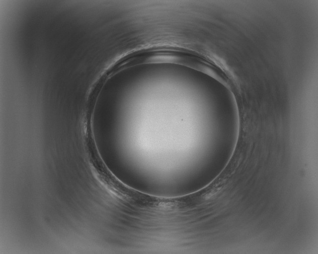 X0000074260060200608251237