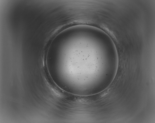 X0000074260062200608251237