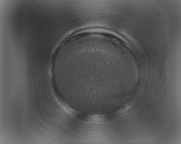 X0000074260064200608251237