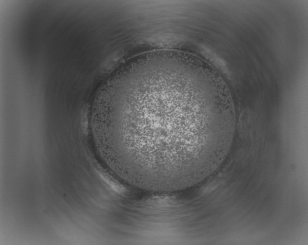 X0000074260065200608251237