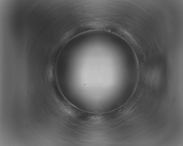 X0000074260071200608251237