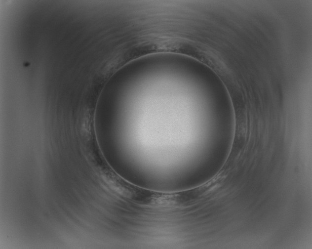 X0000074260078200608251237