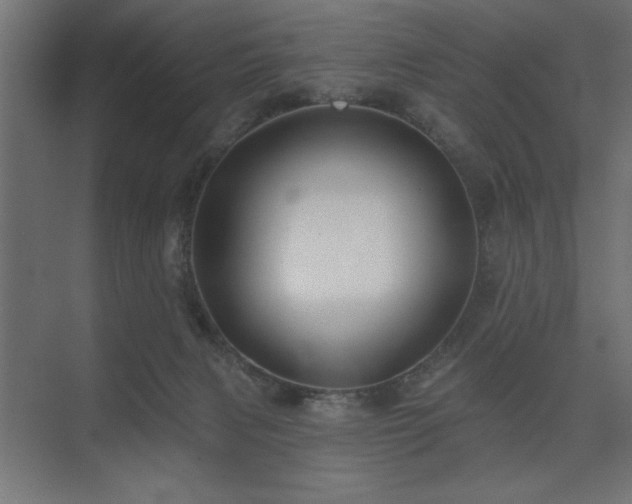 X0000074260079200608251237