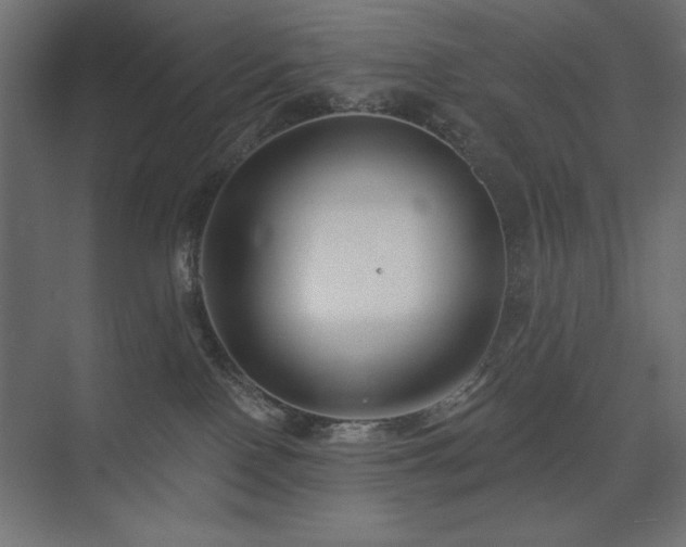 X0000074260090200608251237