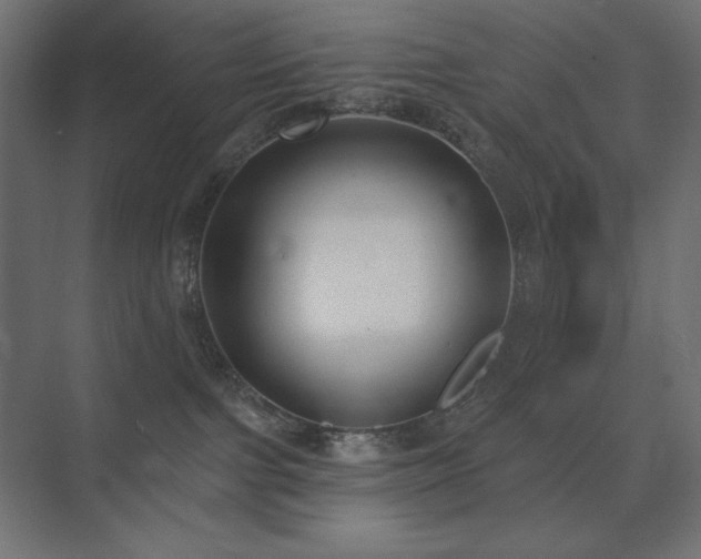 X0000074260091200608251237