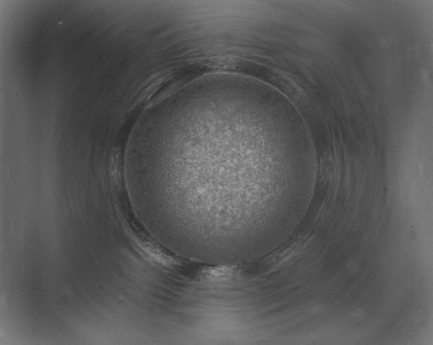 X0000074260092200608251237