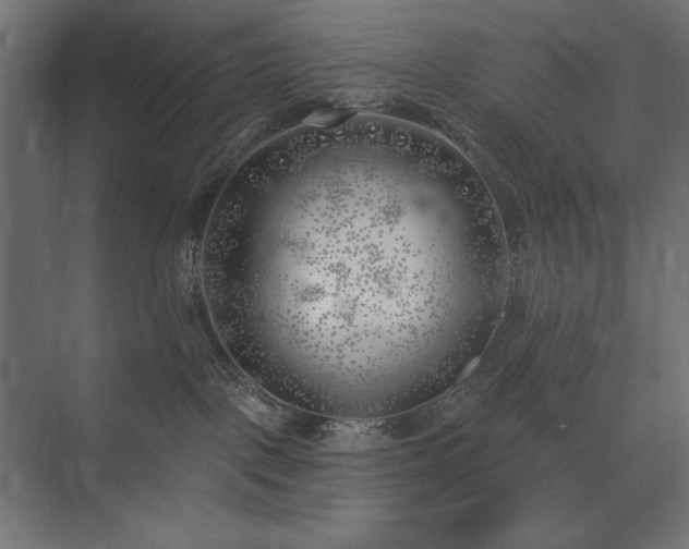 X0000074260093200608251237