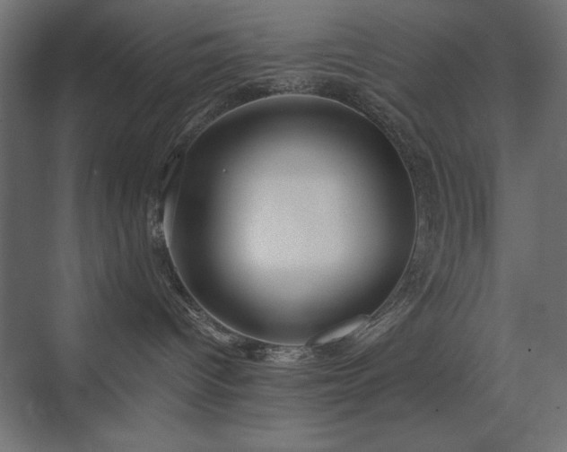 X0000074260096200608251237