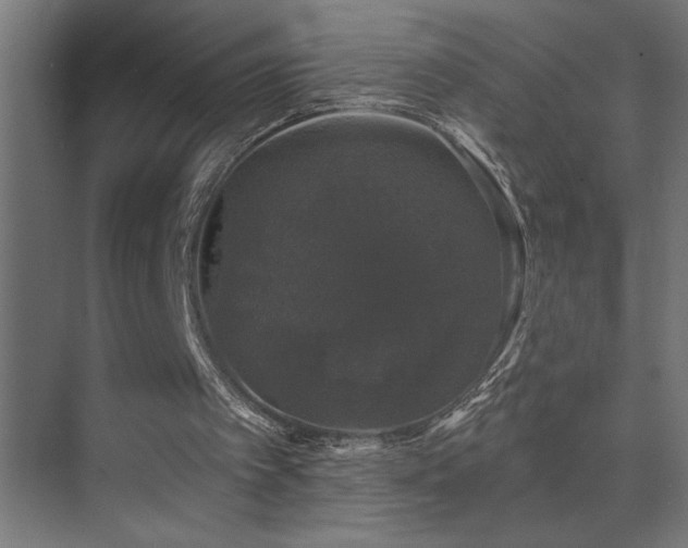 X0000074260097200608251237