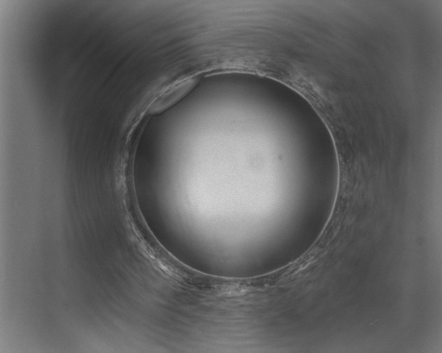 X0000074260098200608251236