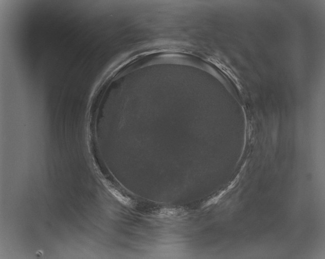 X0000074260101200608251236