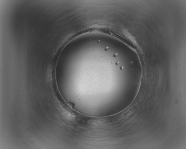 X0000074260106200608251236