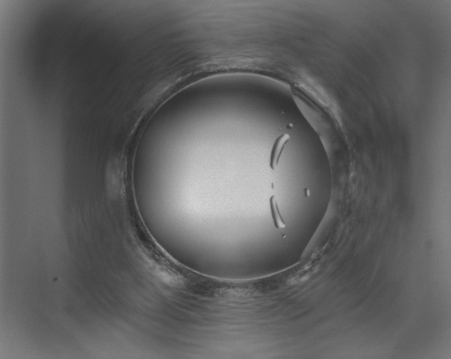 X0000074260107200608251236