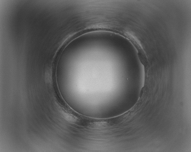 X0000074260108200608251236