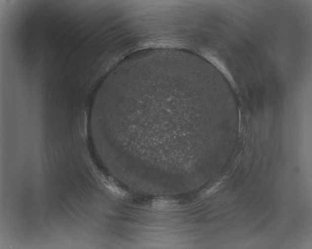 X0000074260109200608251236