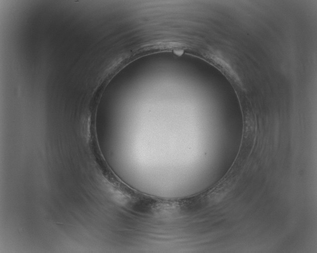 X0000074260110200608251236