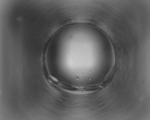 X0000074260111200608251236