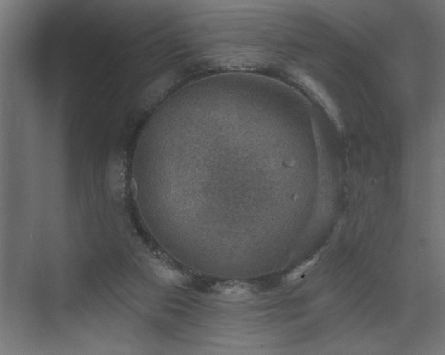 X0000074260113200608251236