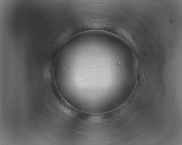 X0000074260114200608251236