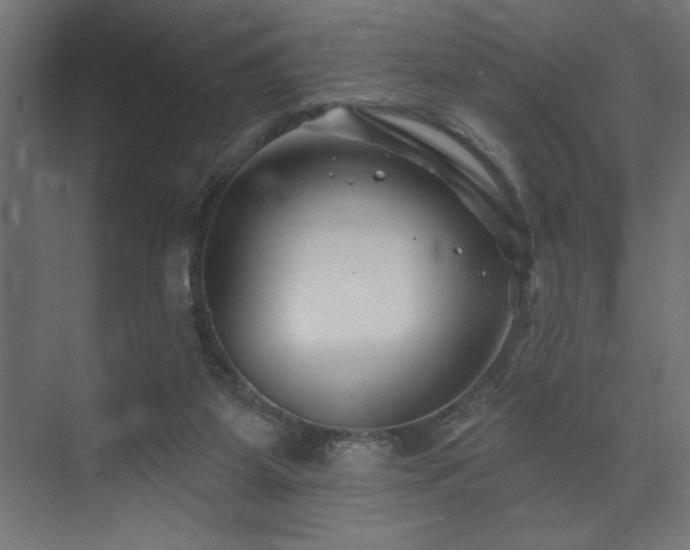 X0000074260115200608251236